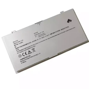 Batería para PZ 306011411501 306011411502